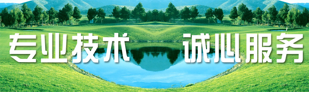 直線(xiàn)振動(dòng)篩生產(chǎn)廠(chǎng)家