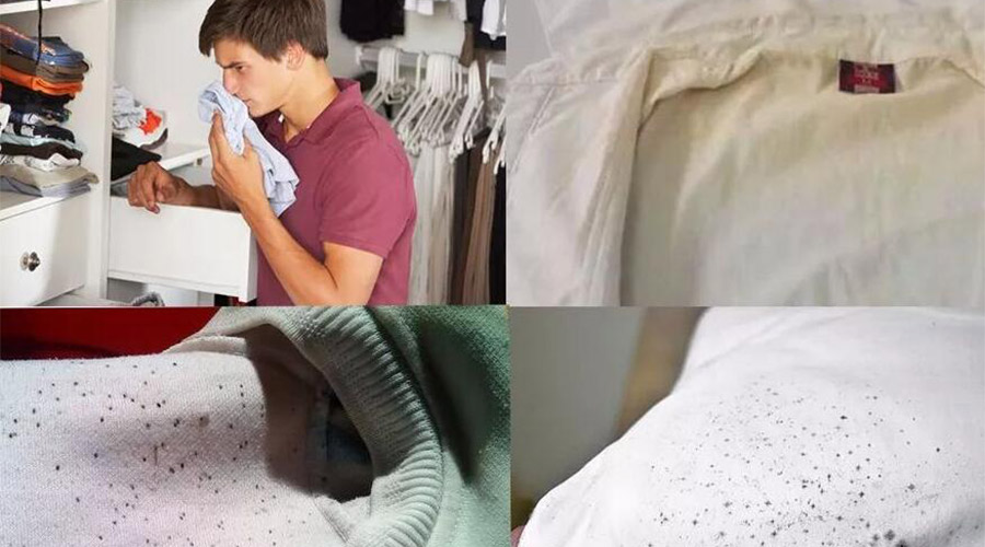 衣服護(hù)理小常識：潮濕天衣物有霉味不宜穿  該怎么辦？