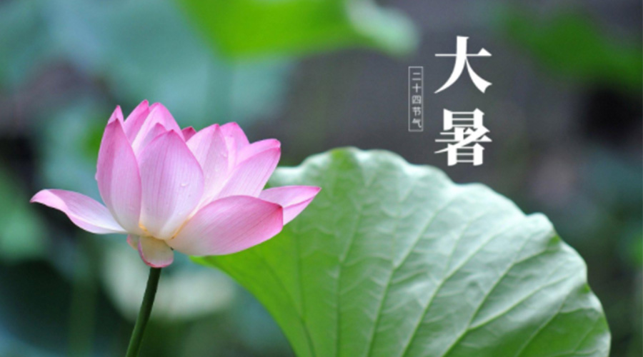 大暑時節(jié)！金環(huán)電器提醒大家注意這些干衣細(xì)節(jié)