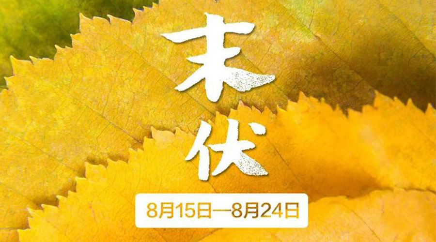 末伏時(shí)節(jié)！金環(huán)電器提醒你謹(jǐn)記這些注意事項(xiàng)