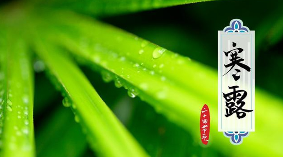 寒露時節(jié)到！金環(huán)電器提醒這些干衣事項要注意