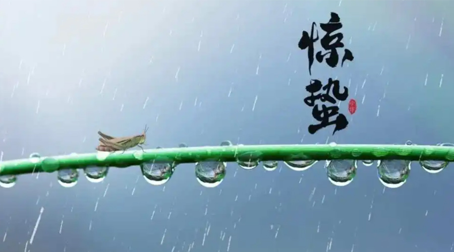 驚蟄時(shí)節(jié)！金環(huán)電器提醒大家干衣要注意這些