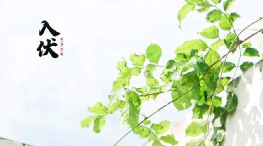 初伏時節(jié)！金環(huán)電器提醒大家要注意的事項(xiàng)