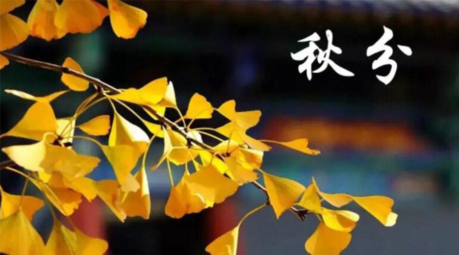秋分時節(jié)！金環(huán)電器提醒大家要注意的事項